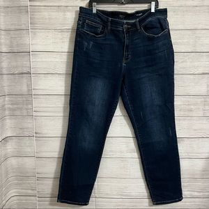 Judy Blue Mid Rise Skinny Jeans size 18